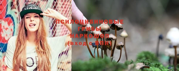 PSILOCYBIN Новозыбков