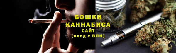 PSILOCYBIN Новозыбков
