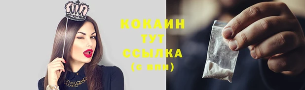 молекула духа Новокубанск