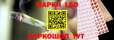 гидропоника Дубна
