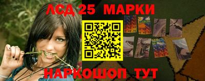 гидропоника Дубна