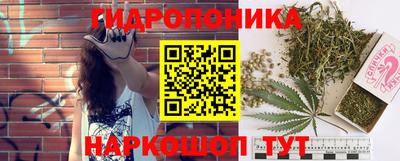 гидропоника Дубна