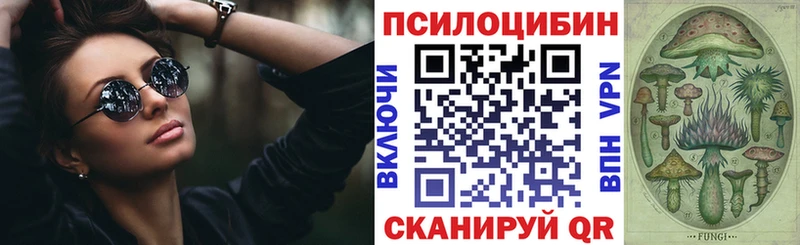МЕГА онион  купить   Ишим  маркетплейс формула  Галлюциногенные грибы Psilocybine cubensis 