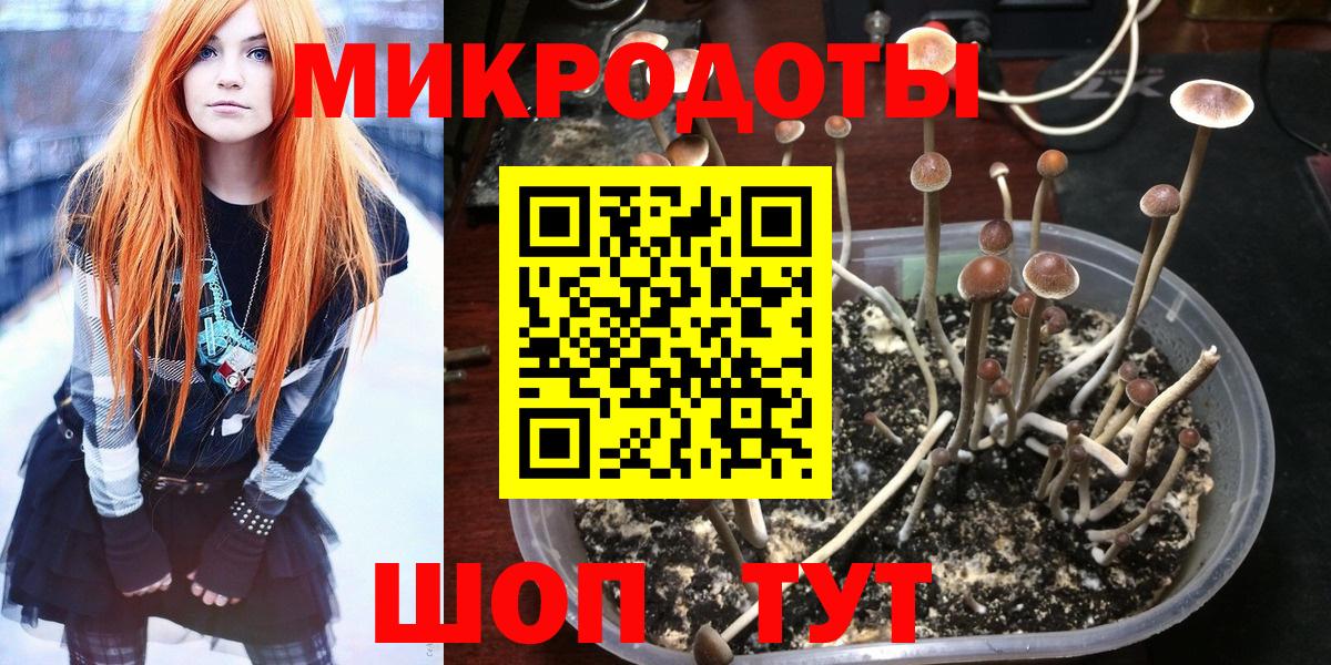 Ишим  Галлюциногенные грибы Magic Shrooms  Вход с VPN 