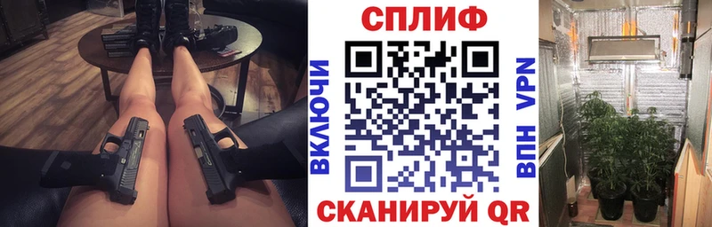 Бошки Шишки план  Ишим 
